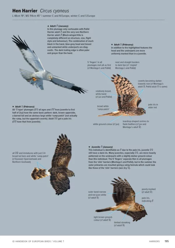 ID Handbook of European Birds