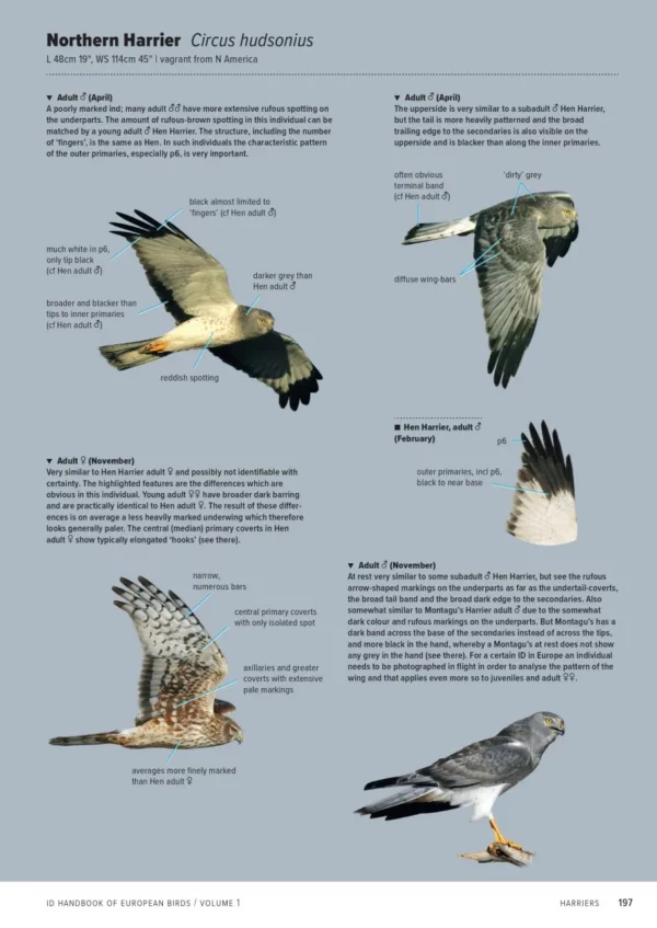 ID Handbook of European Birds