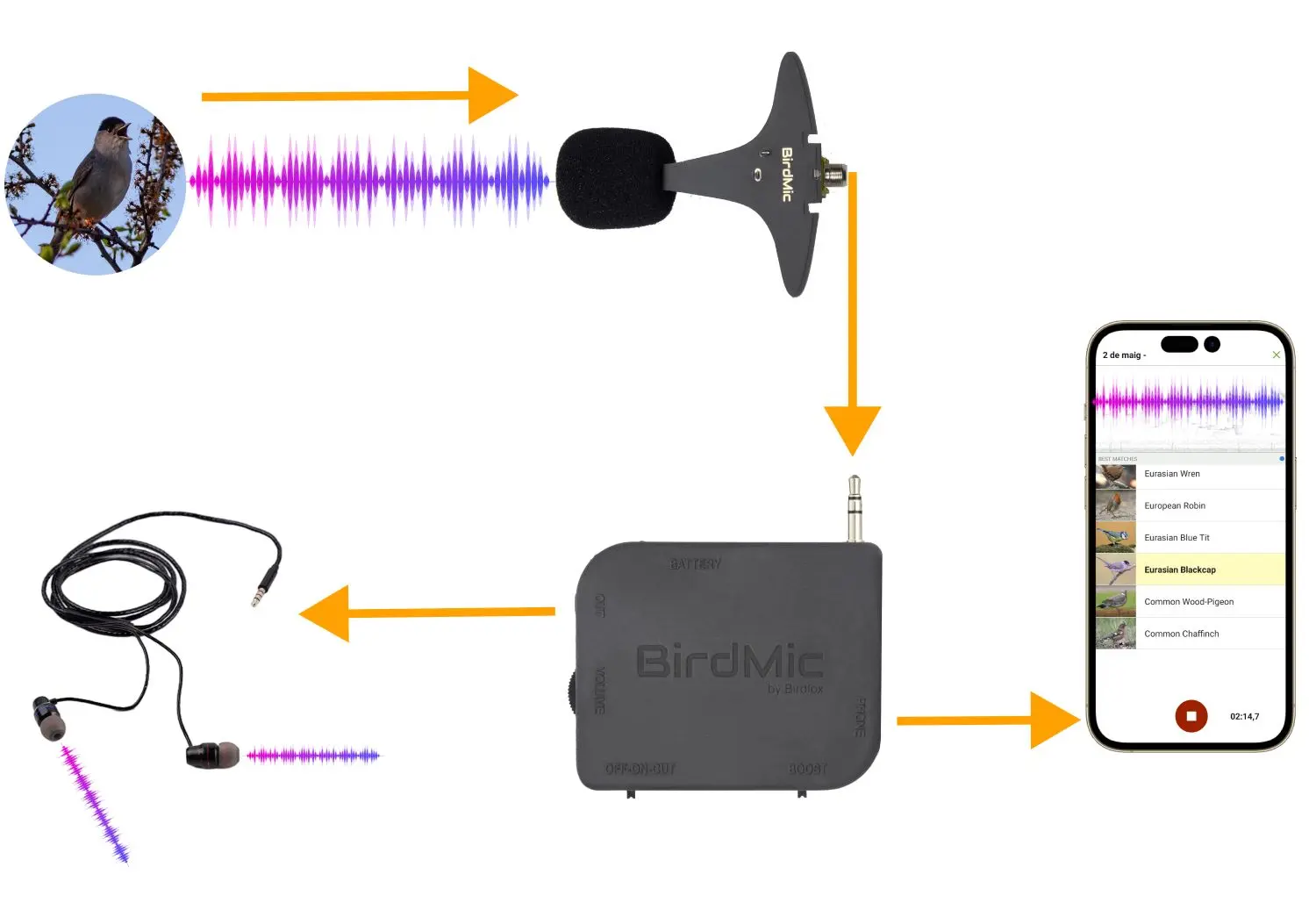 BirdMic Audiointerface