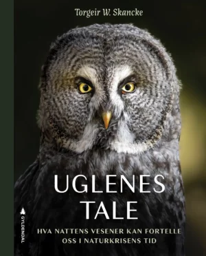 Uglenes tale