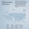 Avian Architecture