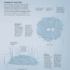 Avian Architecture