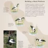 Avian Architecture