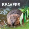 Beavers Ecology, Behaviour, Conservation, and Management
