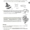 British Plant Galls, 3. ed