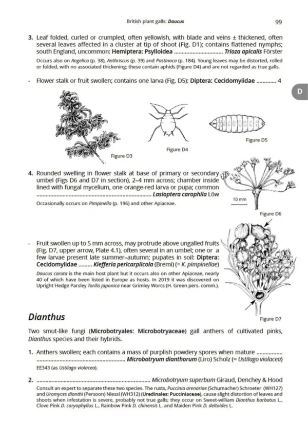 British Plant Galls, 3. ed