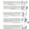 British Plant Galls, 3. ed