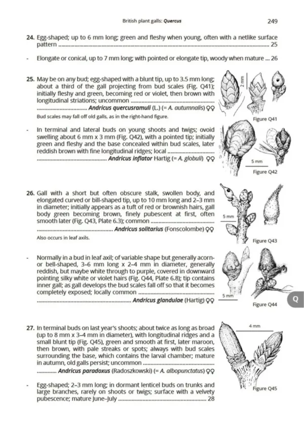 British Plant Galls, 3. ed