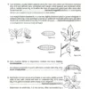British Plant Galls, 3. ed