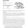 The Atlas of Early Modern Wildlife