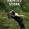 The Painted Stork