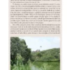 The Painted Stork