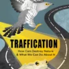 Traffication