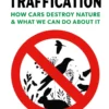 Traffication