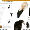 Birds That Leave Their Mark