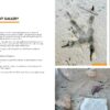 Birds That Leave Their Mark