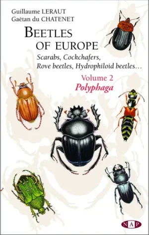 Beetles of Europe, Volume 2