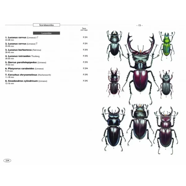 Beetles of Europe, Volume 2