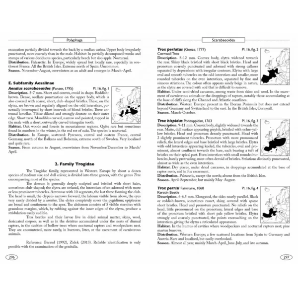 Beetles of Europe, Volume 2