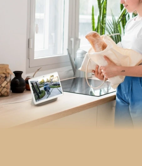Google Home support