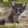Baby-dyr