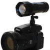 Birdlight-on-cam