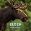 Elgen
