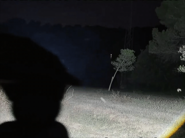 BirdLight 3000 lumen zoom