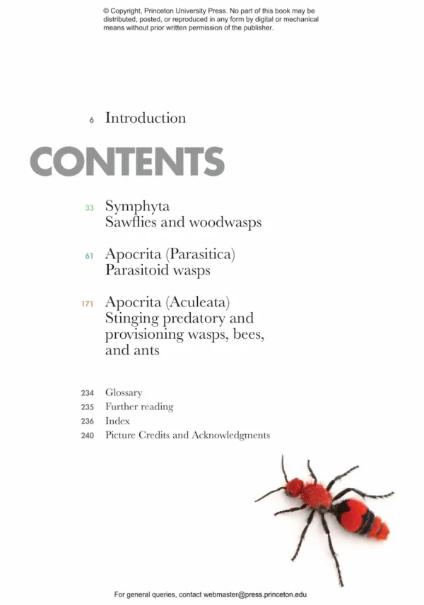 Wasps of the World