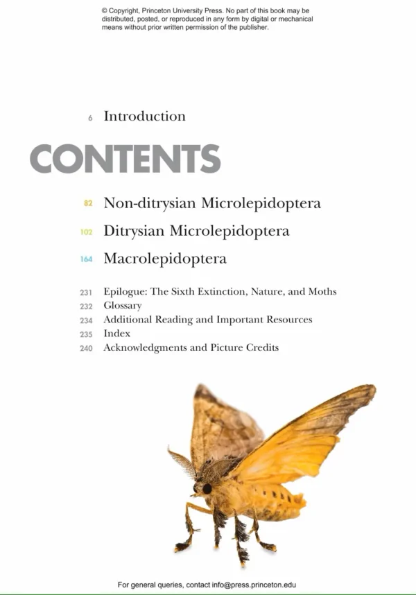 Moths of the World