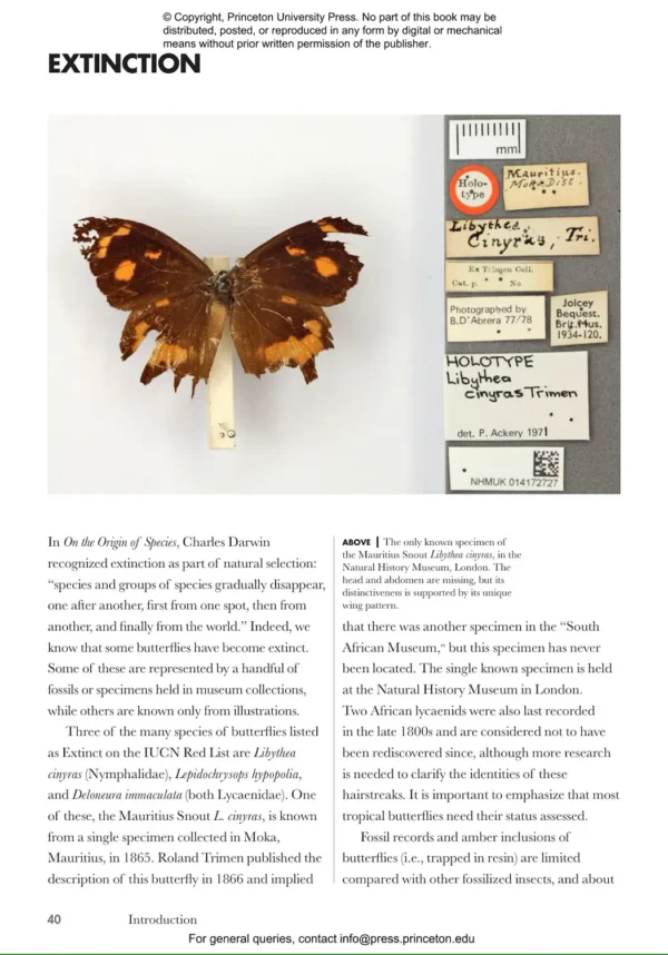 Butterflies of the World
