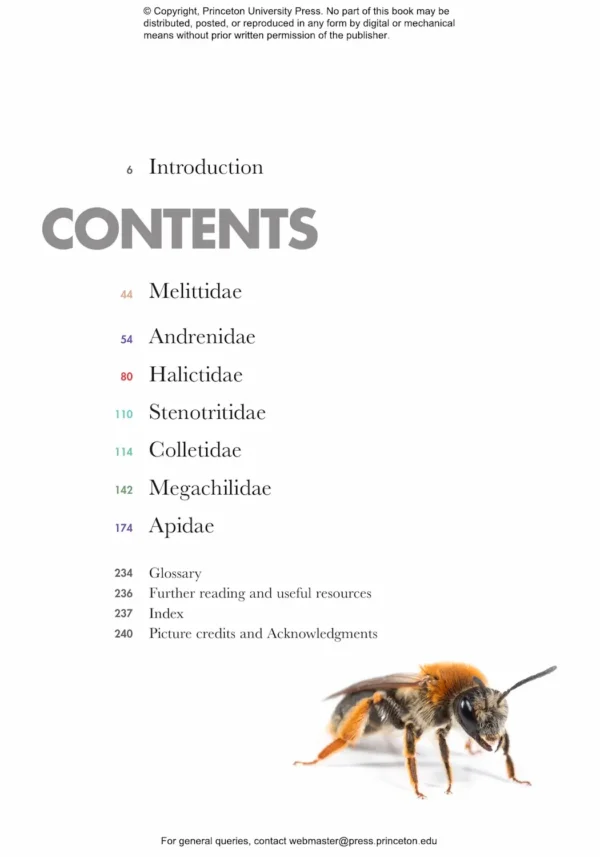 Bees of the World