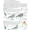 Field Guide to the Birds of North America