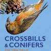 Crossbills and Conifers