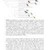 Crossbills and Conifers