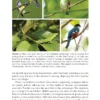 The Game of Species
