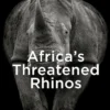 Africa's Threatened Rhinos