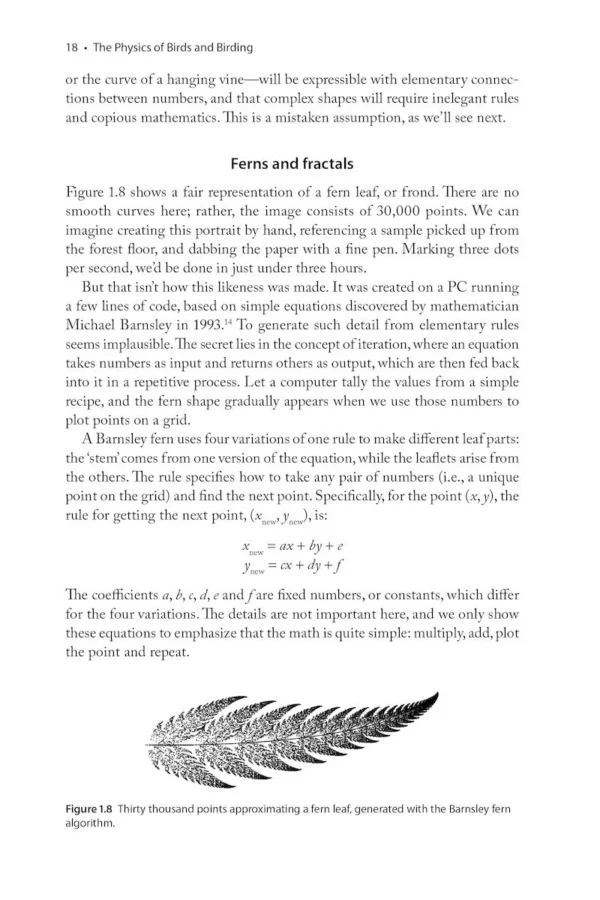 The Physics of Birds and Birding