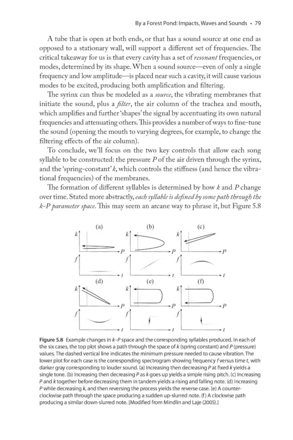 The Physics of Birds and Birding
