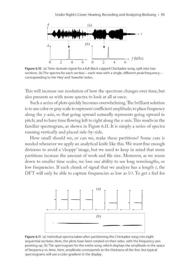 The Physics of Birds and Birding