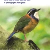 Birds of Madagascar