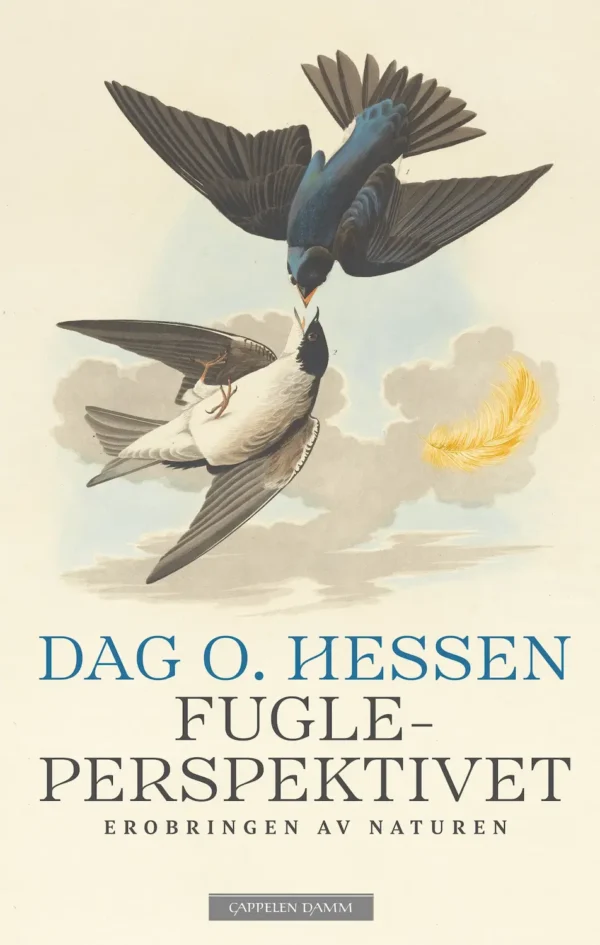 Fugleperspektivetivet