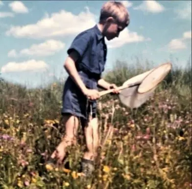 Markus-samler-sommerfugler