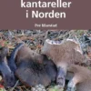 Piggsopper og kantareller i Norden