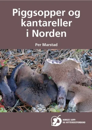 Piggsopper og kantareller i Norden