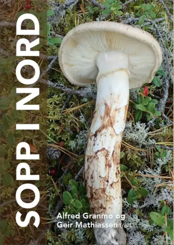 Sopp i Nord