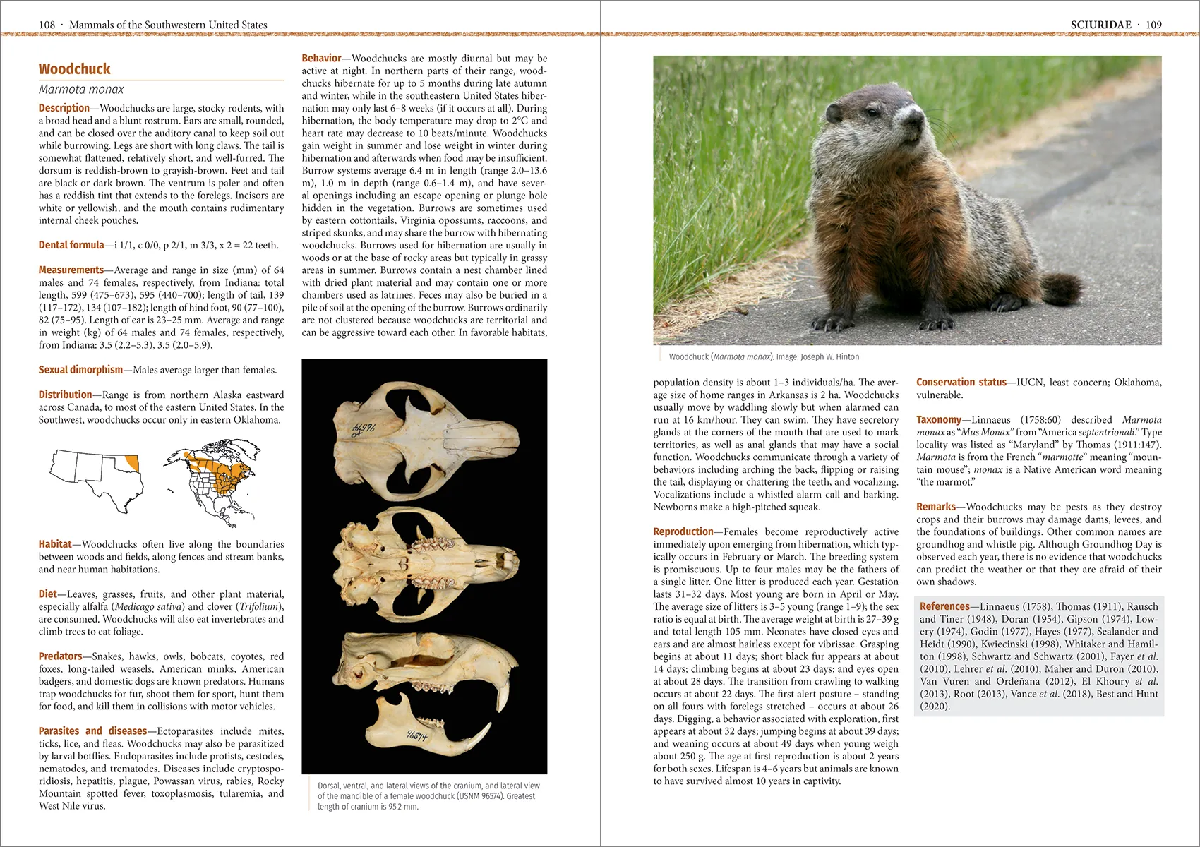 Mammals of the Southwestern United States