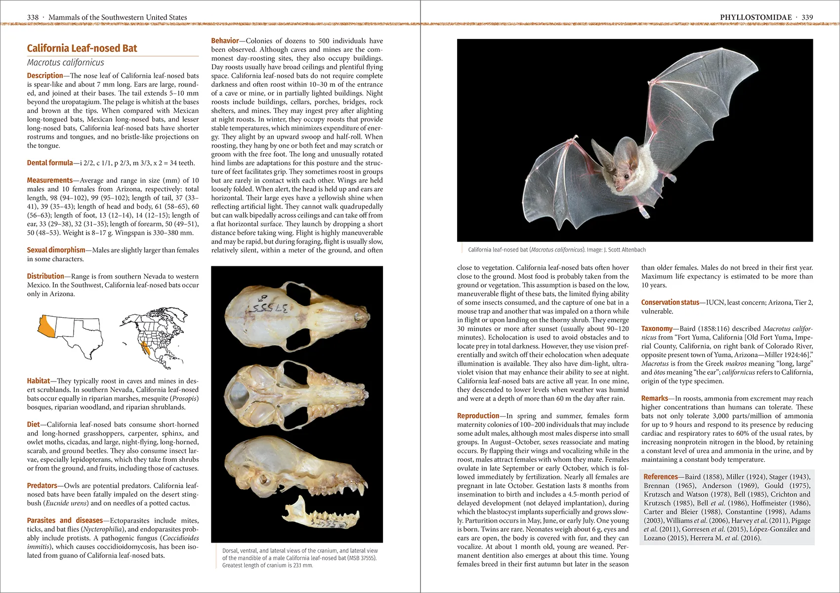 Mammals of the Southwestern United States