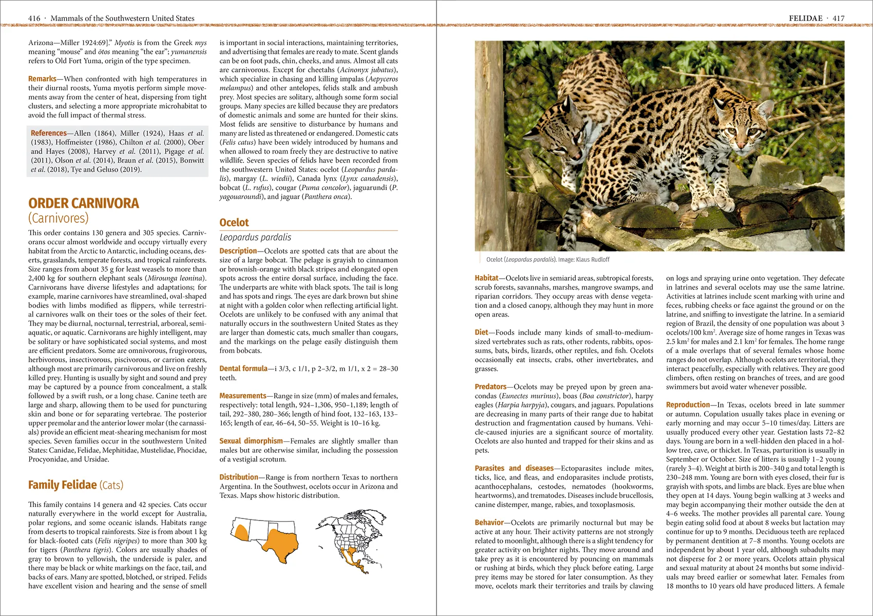 Mammals of the Southwestern United States