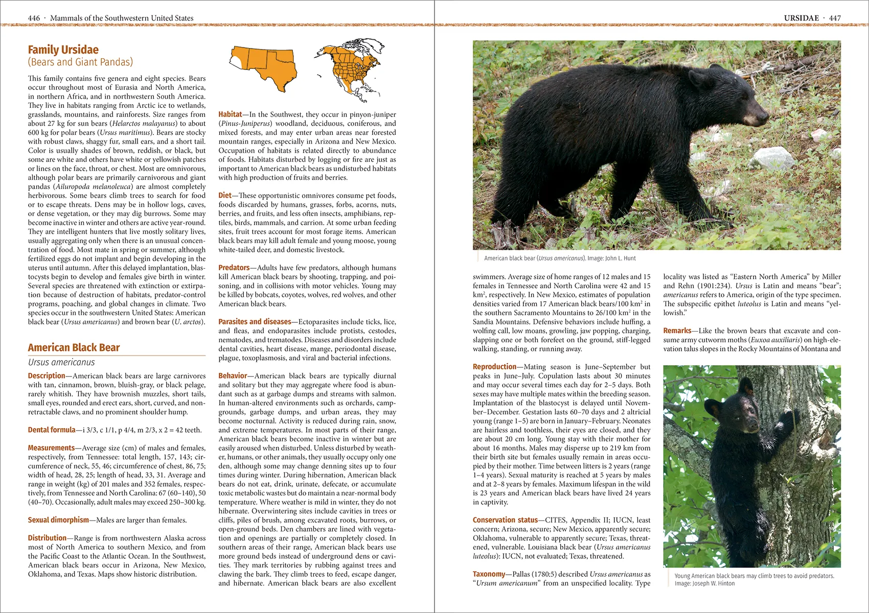 Mammals of the Southwestern United States